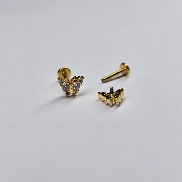 "MARIPOSA RESPLANDECIENTE"