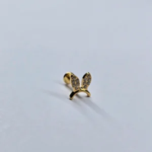 20260308_161200 "OREJAS CONEJO"