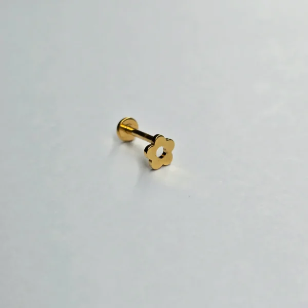 20260308_161725 "FLORA"