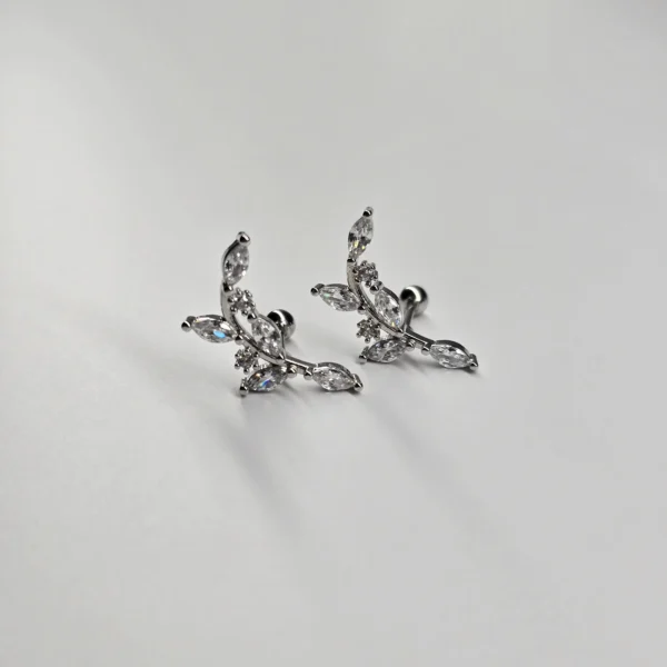 20260329_011922 BROQUEL "CURVA PERFECTA"