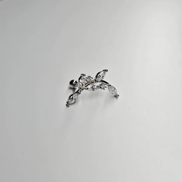 20260329_011946 BROQUEL "CURVA PERFECTA"