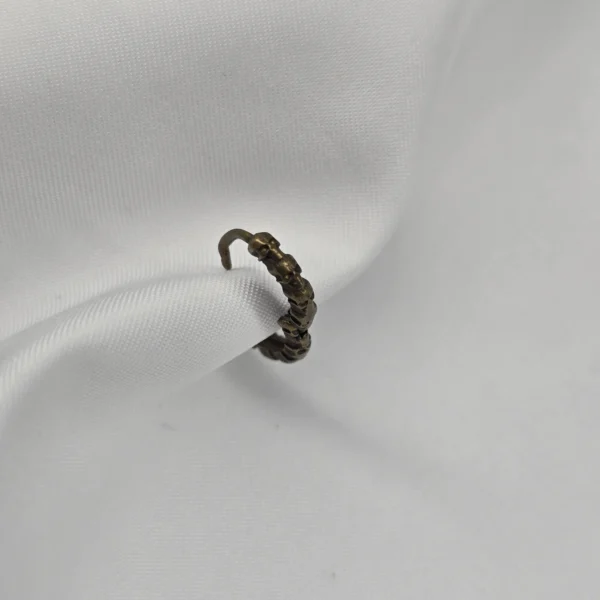 20260327_004355 "CRANEOS"