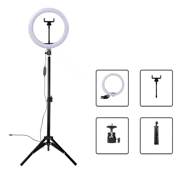 D_NQ_NP_2X_929617-MLA92044260137_092025-F ARO DE LUZ 10" Profesional