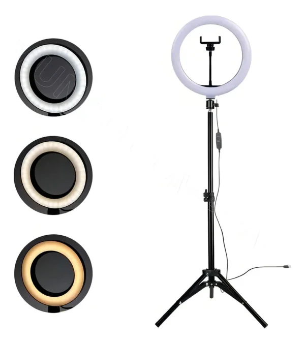 D_NQ_NP_2X_948146-MLA91644545454_092025-F ARO DE LUZ 10" Profesional